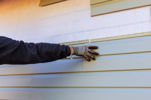 Reliable Pecos, TX Siding Solutions